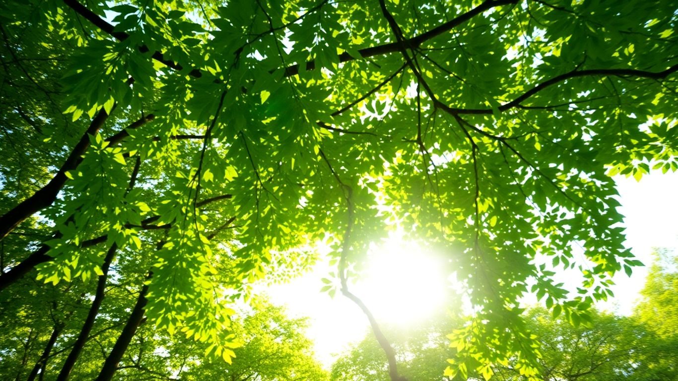 Cum alegi investițiile verzi cu cel mai mare potențial de randament în 2025